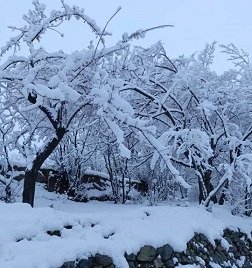 The snowfall has covered several districts of Maidan Wardak province in white.
