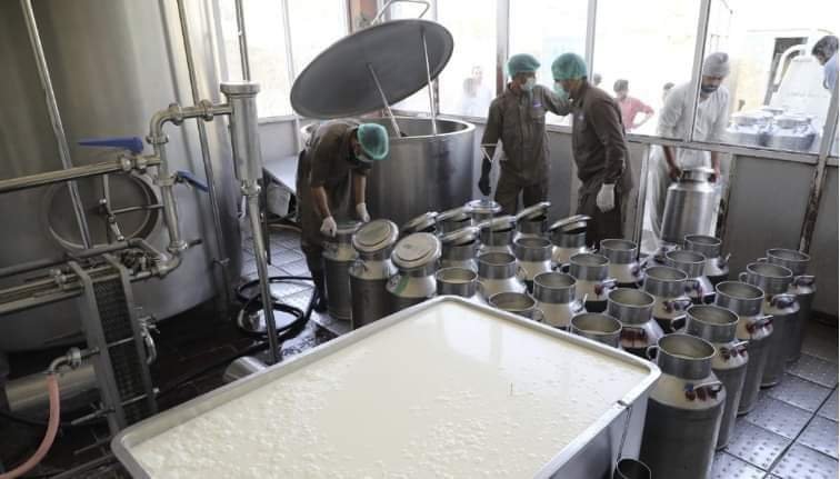 Members of the country’s dairy society say that tens of millions of dollars have been invested in dairy production in the country