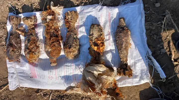 10 mortar shells were discovered and neutralized in Qalazaal district of Kunduz province