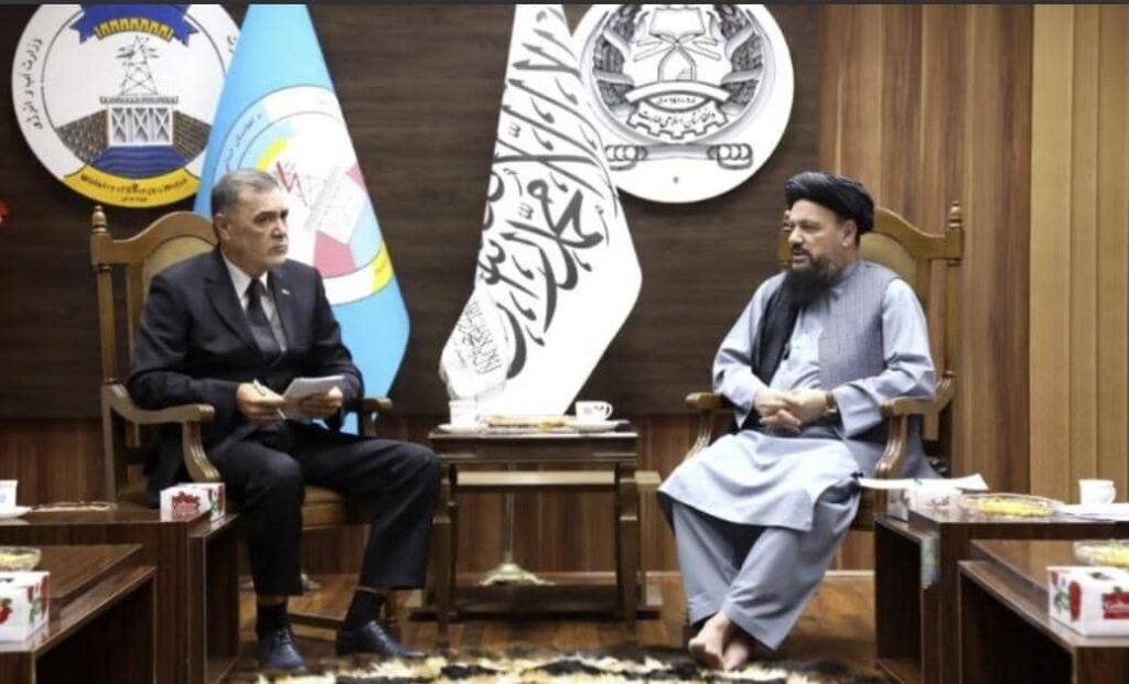 Minister of Water and Energy Meets with Head of TAPI Project