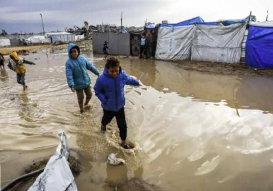 Floods and Heavy Rain in Gaza; Hundreds of Thousands Displaced, Tents Submerged