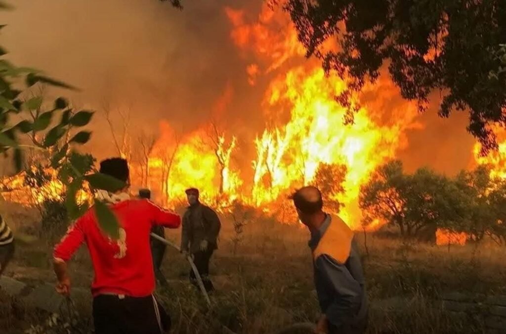 At Least 12 Killed, 54 Injured in Wildfires in Northeastern Algeria