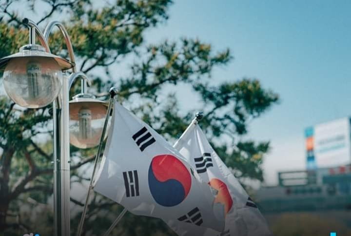 د ملګرو ملتونو د خوړو نړیوال پروګرام ویلي چې د افغانستان بشري مرستو له صندوق سره یې مرسته کړې ده