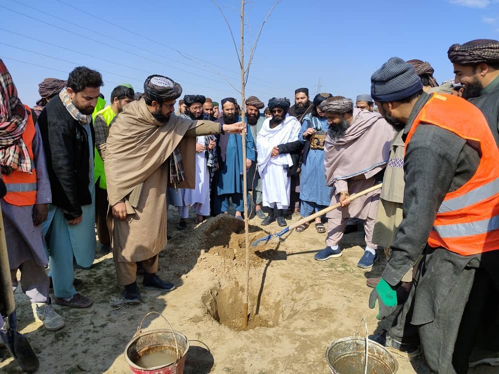 په کندوز کې د بریا او ښېرازۍ تر شعار لاندې د ۱۴۰۳ کال د نیالګیو کېنولو کمپاین پیل شو