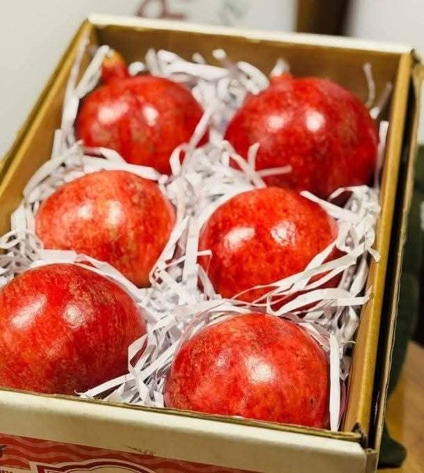 یو عرب پانګوال په کندهار کې د انارو پر بسته بندۍ او جوس جوړولو پانګونه کوي