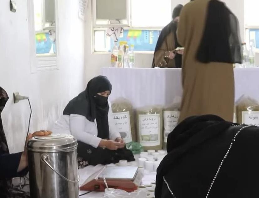 په هرات کې د درملیزو بوټو مرکز ۵۰۰ ښځو ته د کار زمینه برابره کړه