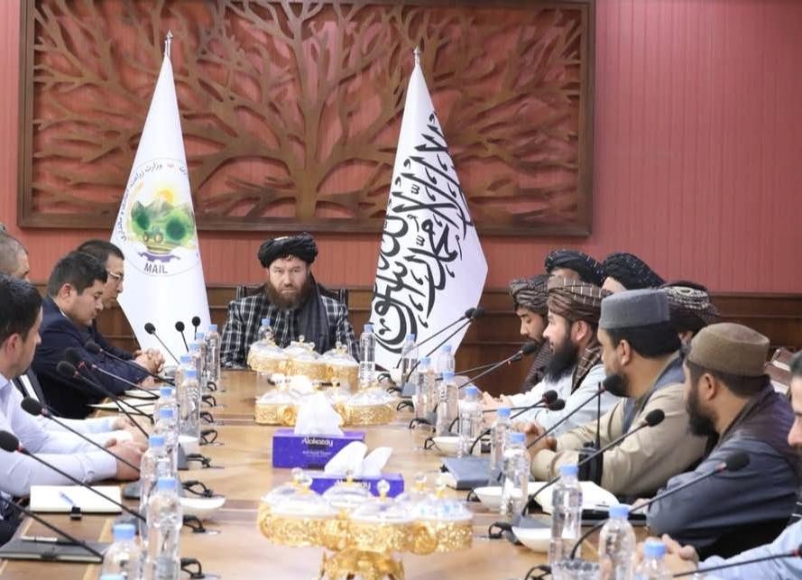 افغانستان او ازبکستان ترمنځ د کرنې د همکاریو د پراختیا خبرې شوې
