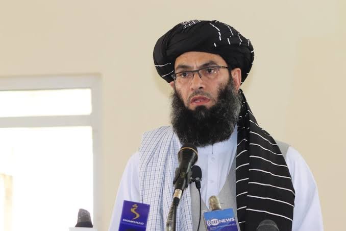 حنفي: د شریعت له تطبیق به په شا نهشو