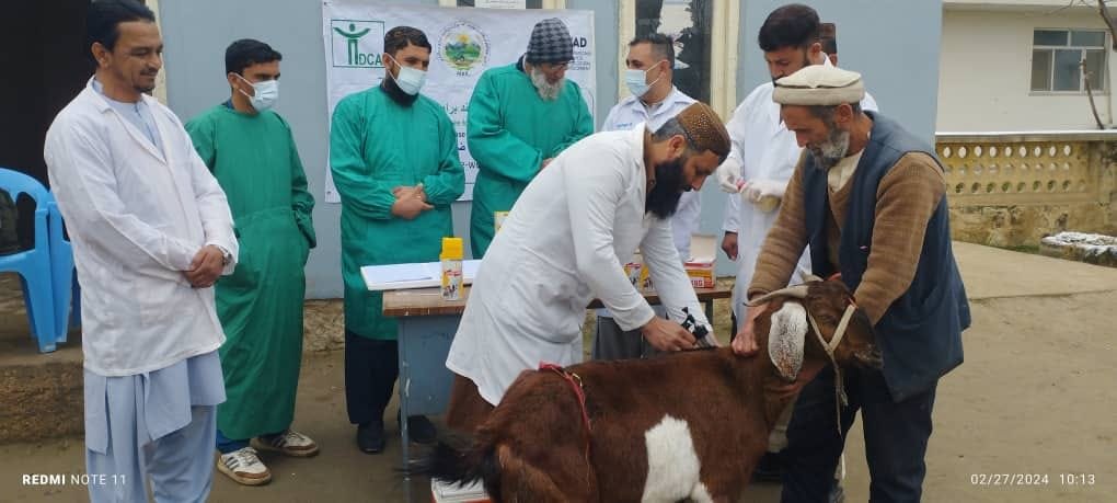 کمپاین تطبیق واکسین بیماری حیوانی ( انترتوکسیمیا ) در ولایت کندزآغاز شد
