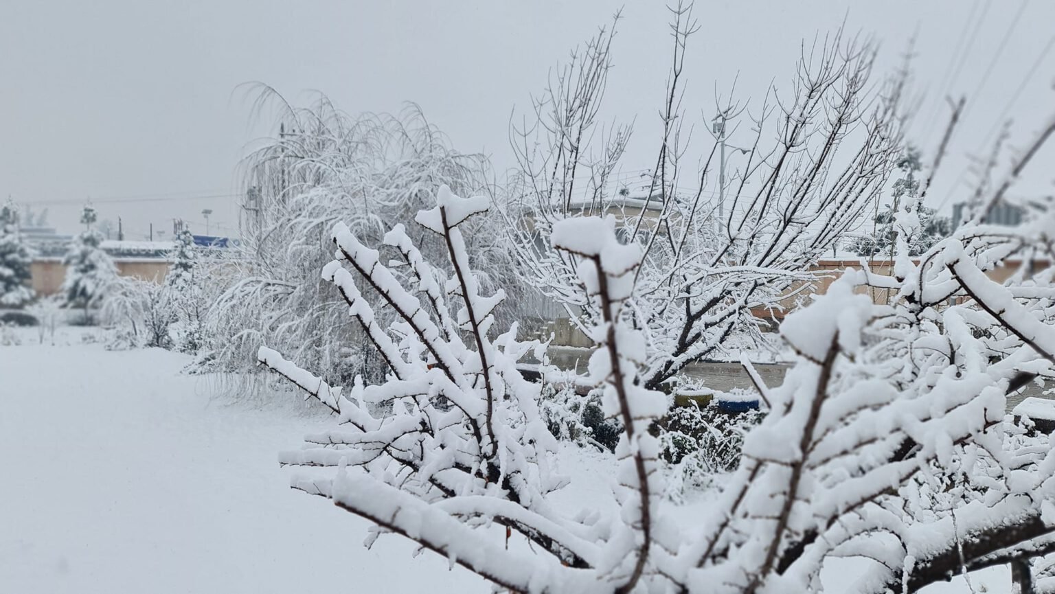برفباری ها در شهر کندز مردم ودهاقین را شادمان ساخته است.