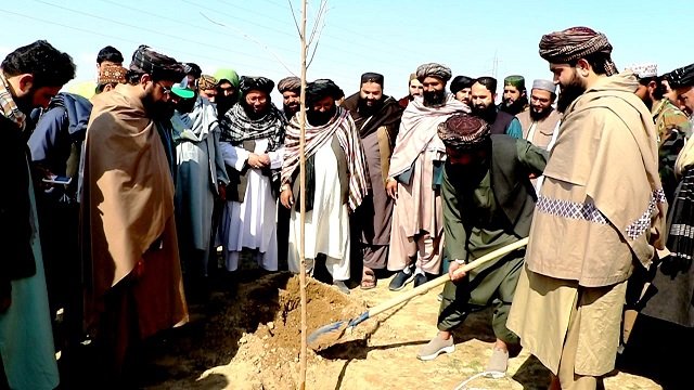 کمپاین نهال شانی تحت شعار پیروزی و سرسبزی در سطح شهر کندز آغاز گردید
