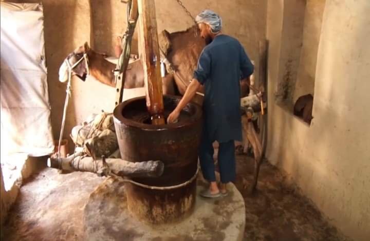 پیشه سنتی تولید روغن کنجد و یا خراسی در ولایت هرات در حالت رکود قرار دارد