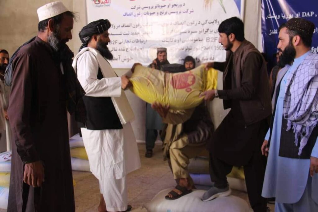 یکهزار دهقان در ولایت کندز از تخمهای اصلاح شده بذریشالی و کودهای کیمیاوی مستفید گردیدند