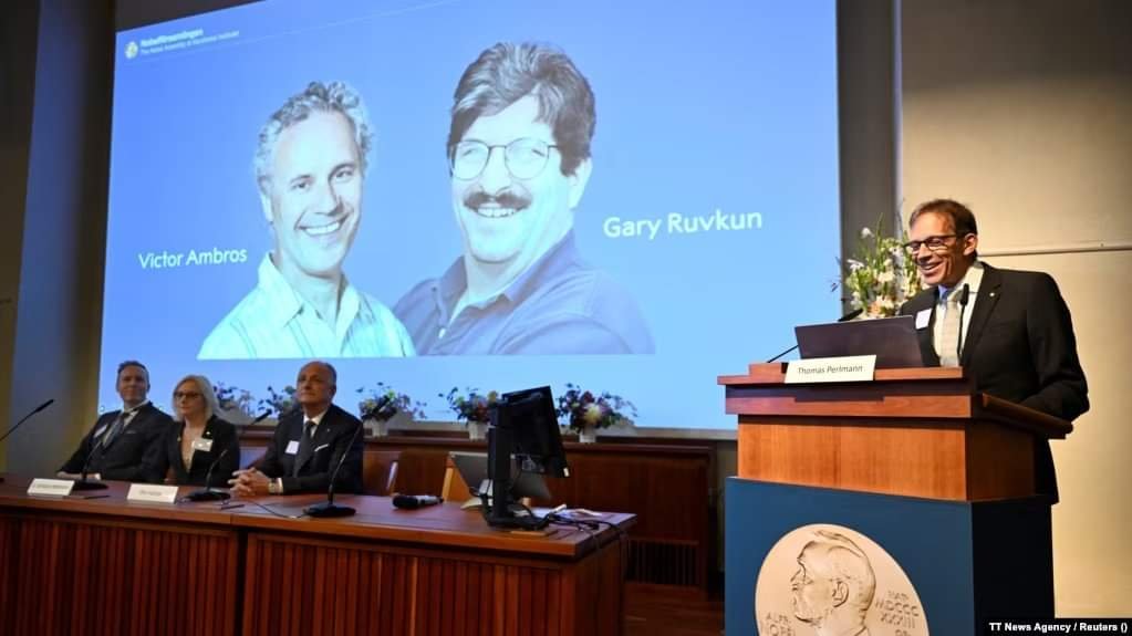 دو دانشمند امریکایی برنده جایزه نوبل طب شدند