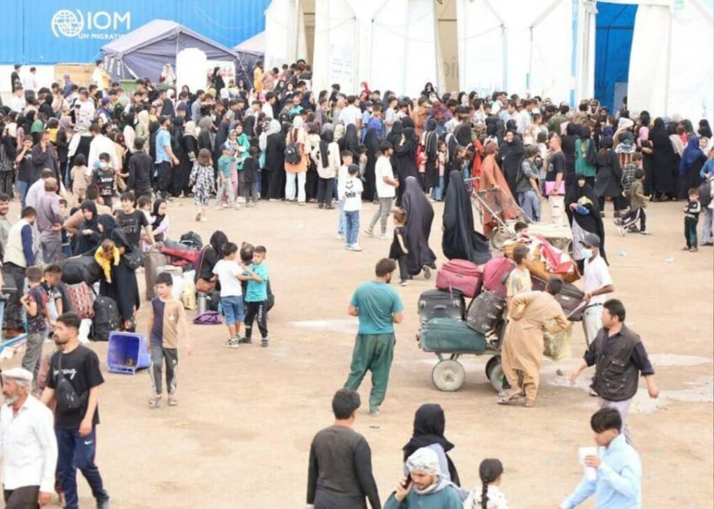 تأکید معاون هلال احمر بر فراهمسازی اشتغال برای برگشتکنندگان