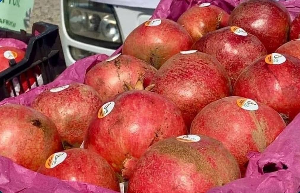 ذبیحالله مجاهد، سخنگوی امارت اسلامی، اعلام کرده که روند صادرات انار افغانستان به روسیه آغاز شده است.