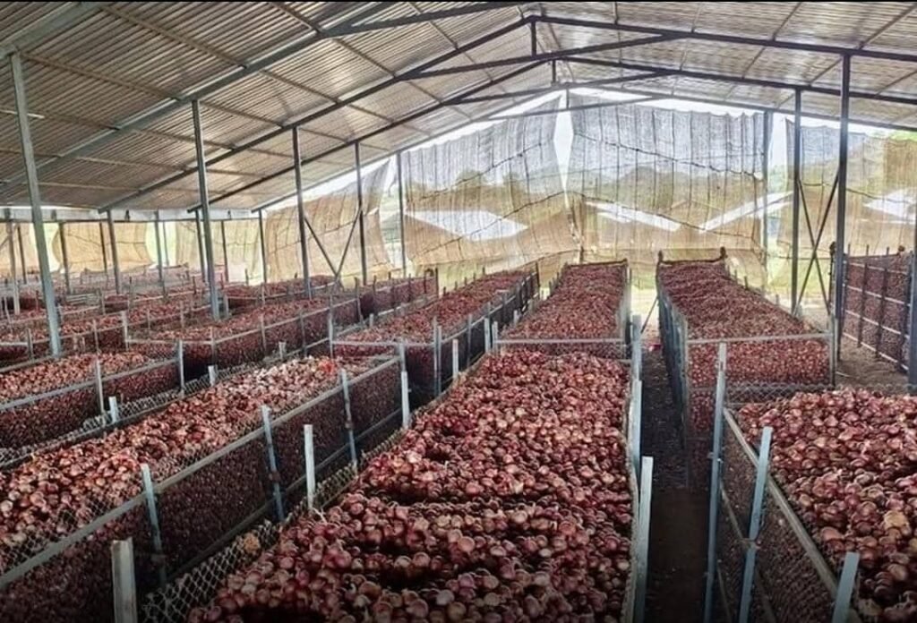 ساخت ۳۶۰ ذخیرهگاه پیاز و کچالو در افغانستان از سوی سازمان ملل