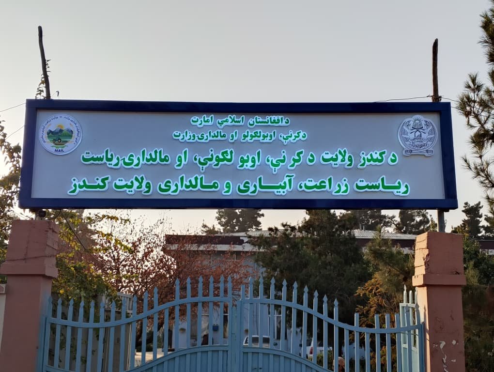 احداث باغات مثمر برای ۸۰ تن دهاقین در مرکز و ولسوالی چهاردره ولایت کندز