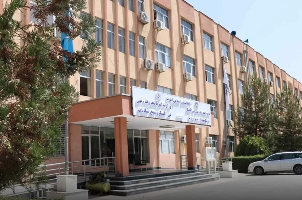 وزارت امربهمعروف از رسیدگی به ۵۲۴ قضیه مرتبط با حقوق شرعی زنان خبر داد